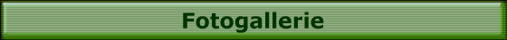 Fotogallerie